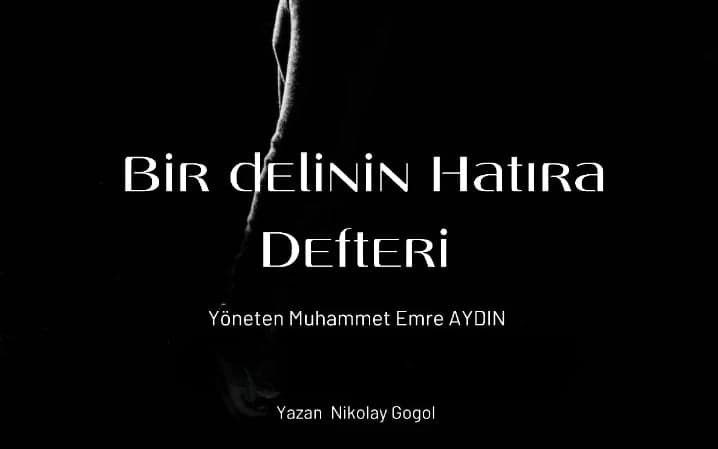 Bir Delinin Hatıra Defteri - Muhammet Emre Aydın