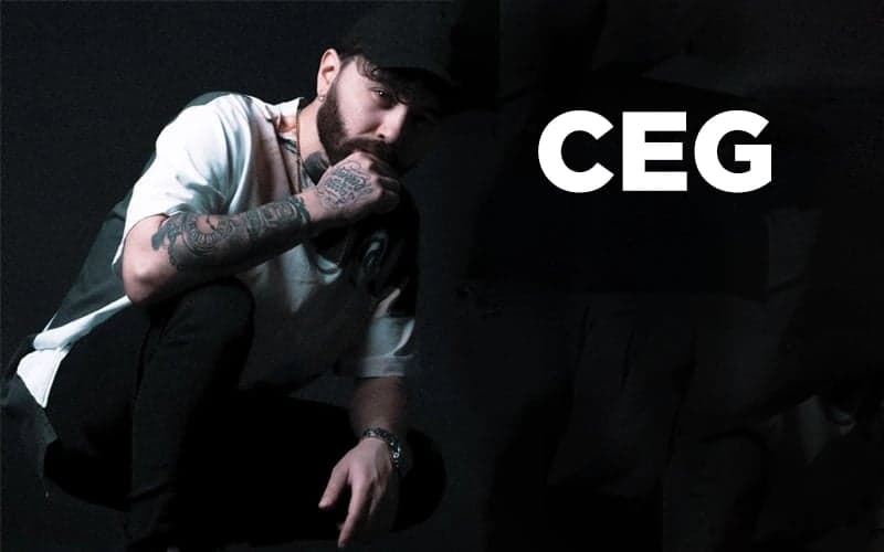 Ceg Konseri