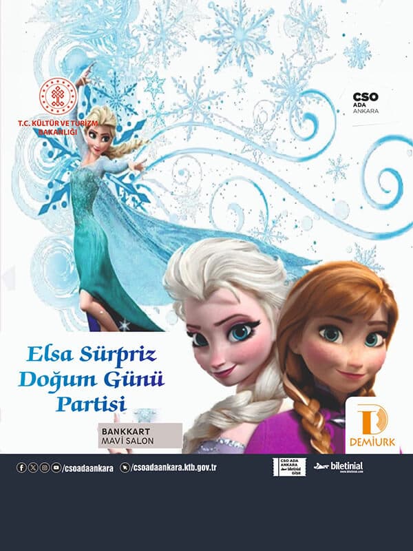 Elsa Sürpriz Doğum Günü Partisi