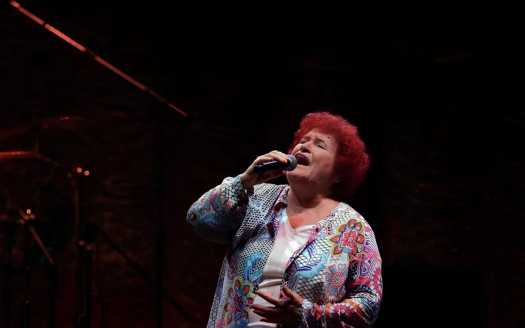 Selda Bağcan Konseri